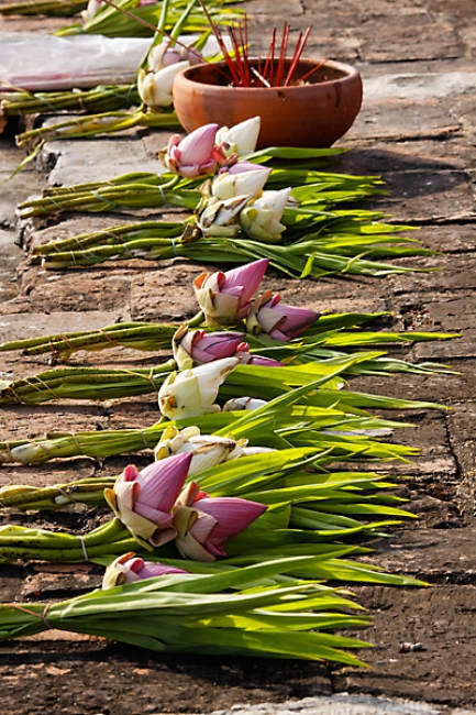 Wat Chai Wathanaram-020